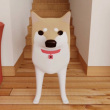 ͷ��