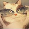ͷ��