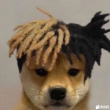 ͷ