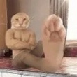 ͷ��