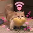 ͷ