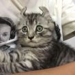 ͷ��