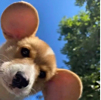 ͷ