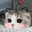 ͷ