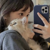 ͷ��