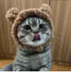 ͷ��
