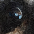 ͷ