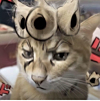 ͷ