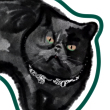ͷ