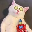 ͷ