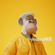 ͷ��