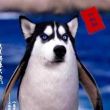 ͷ��