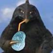 ͷ