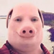 ͷ