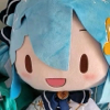 ͷ��