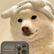 ͷ��