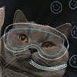 ͷ