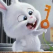 ͷ��