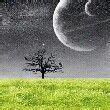 ͷ��
