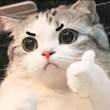 ͷ