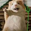 ͷ