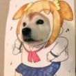 ͷ��