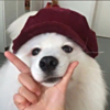 ͷ
