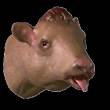 ͷ