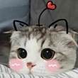 ͷ