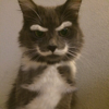 ͷ��