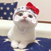 ͷ��
