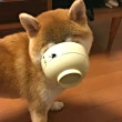 ͷ