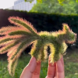 ͷ��