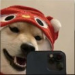 ͷ��