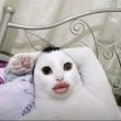 ͷ��
