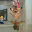 ͷ��