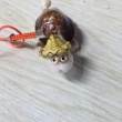 ͷ