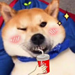 ͷ