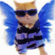 ͷ��