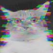 ͷ��