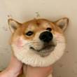 ͷ