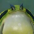 ͷ��