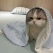 ͷ��