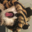 ͷ��