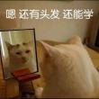 ͷ��