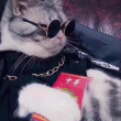 ͷ��