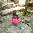 ͷ��