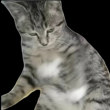ͷ��