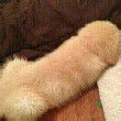 ͷ��