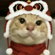 ͷ��
